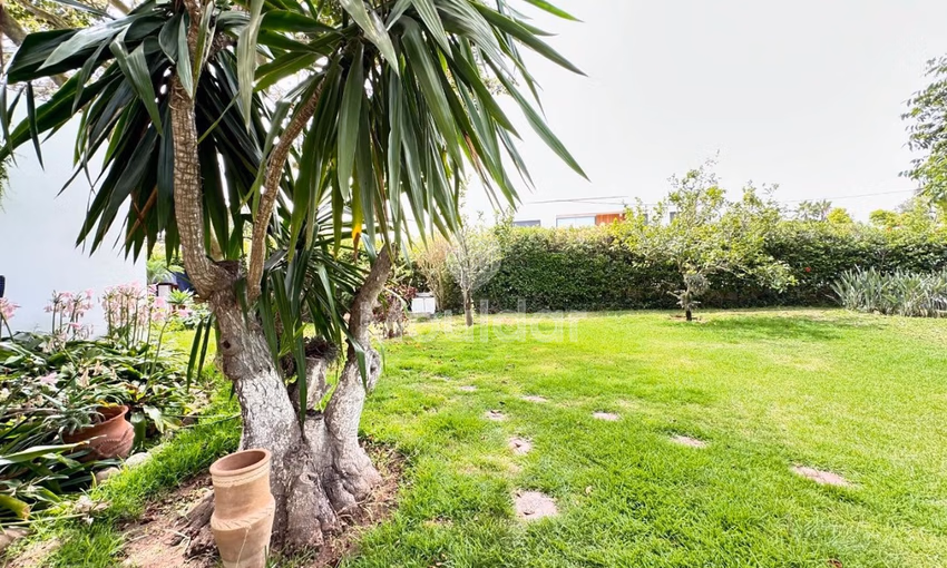 Villa à louer avec jardin