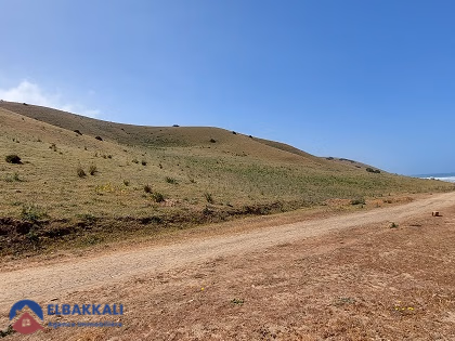 Land for sale for agricultural use