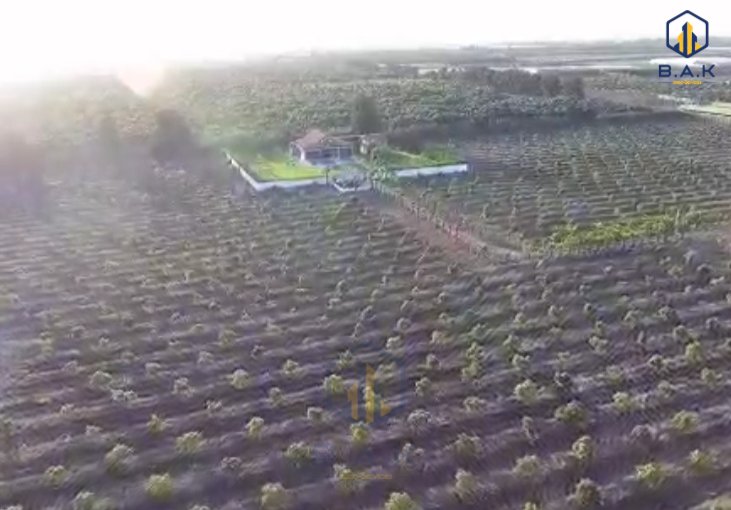 Fermă cu titlu de proprietate de vânzare - view 10