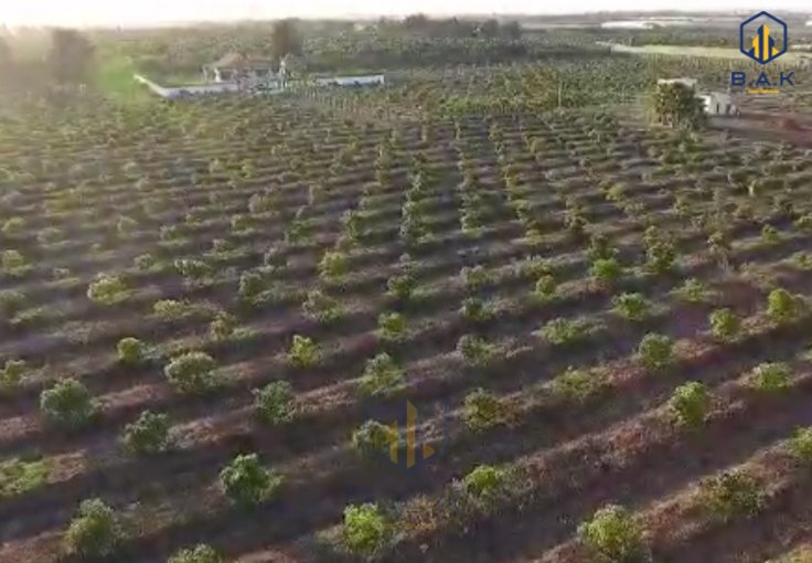 Fermă cu titlu de proprietate de vânzare - view 11