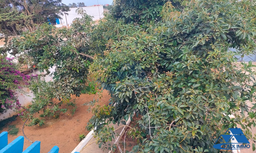 Titled land for sale for industrial activity Titled land for sale for industrial activity