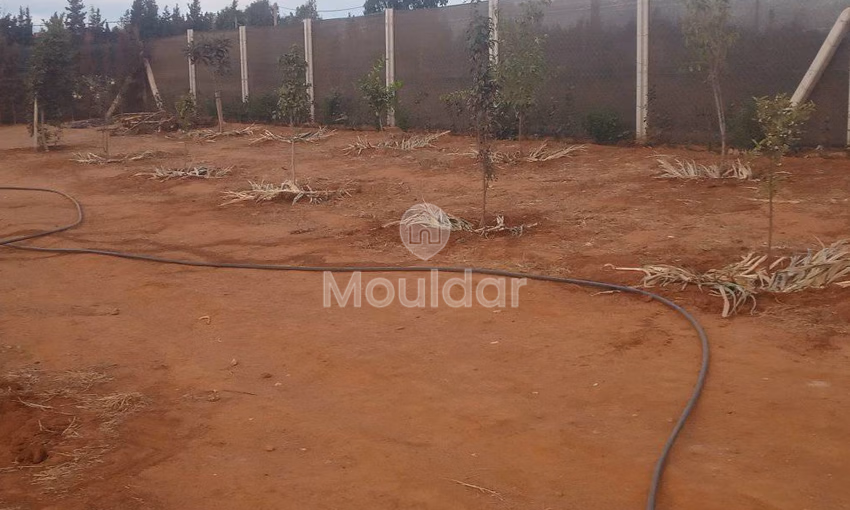 أرض محفظة للشراء لاستغلال زراعي