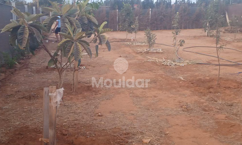 أرض محفظة للشراء لاستغلال زراعي