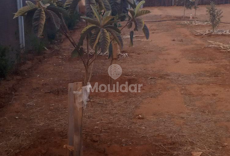 أرض محفظة للشراء لاستغلال زراعي