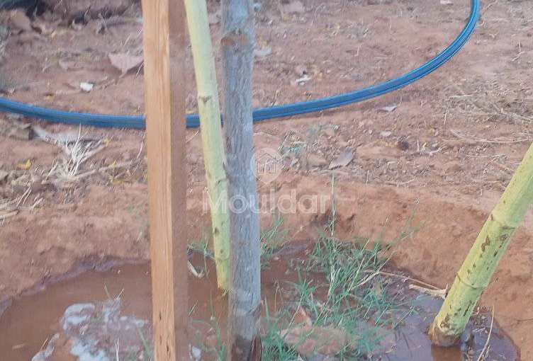 أرض محفظة للشراء لاستغلال زراعي