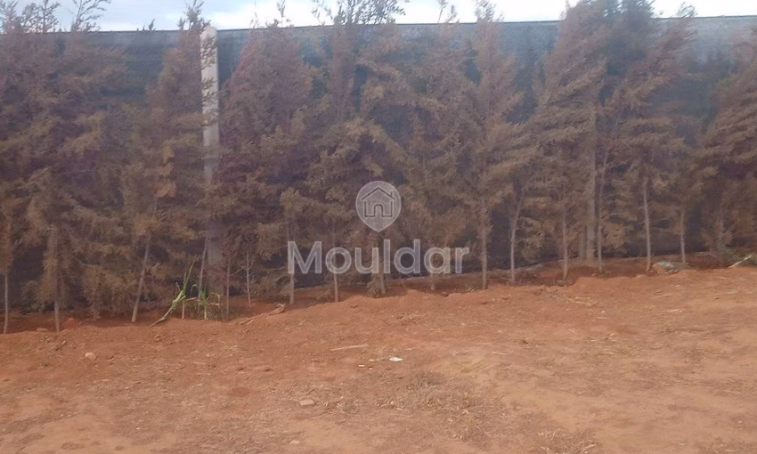 أرض محفظة للشراء لاستغلال زراعي