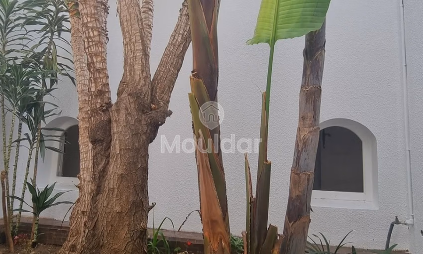 Villa à louer avec jardin Villa à louer avec jardin