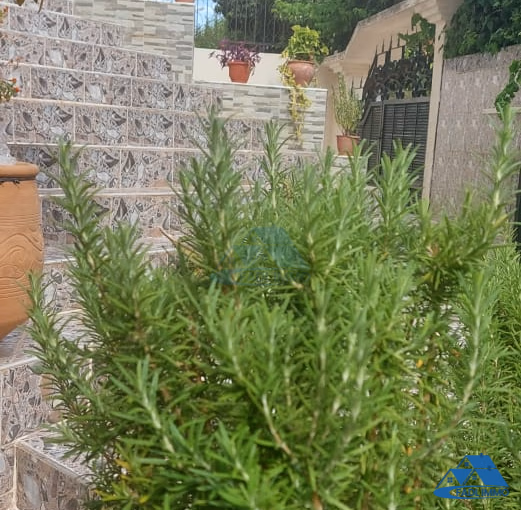 فيلا للبيع مع تراس و طابقين