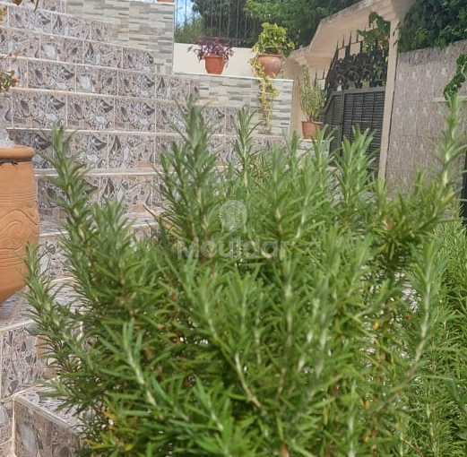 Villa à vendre avec terrasse et deux étages