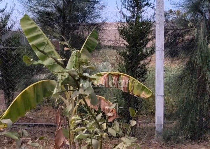 Terreno en compra Terreno en compra