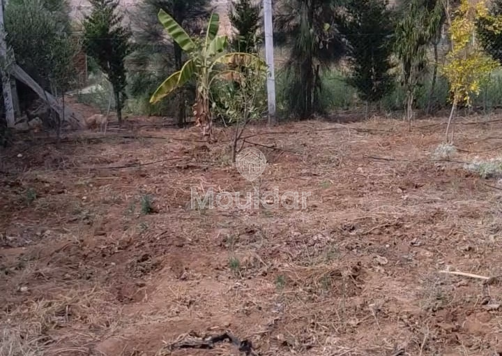 Terreno en compra Terreno en compra