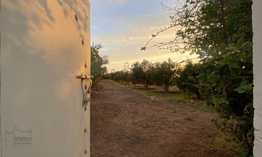 Terreno Agrícola Titulado en Venta: 12 000 m² - view 12