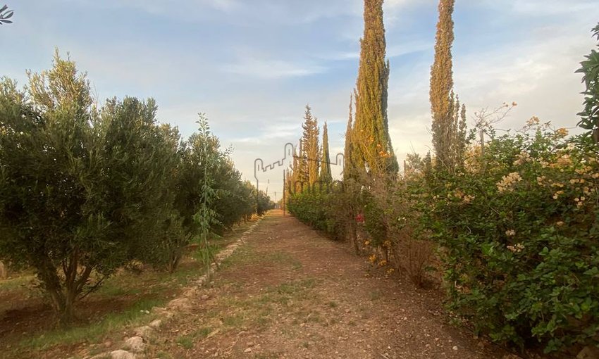 Terreno Agrícola Titulado en Venta: 12 000 m² - view 9