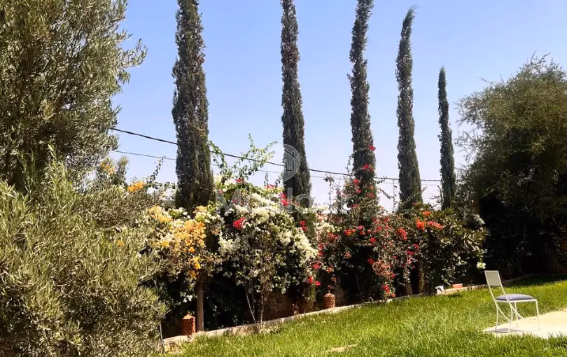 Villa de Rêve à Essaouira : Espace et Évasion ! Villa de Rêve à Essaouira : Espace et Évasion !