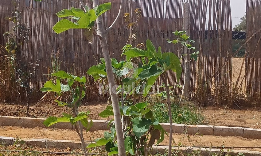 Terreno titulado a la venta