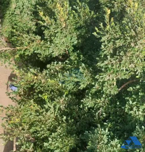 Bureau à louer avec parking au deuxième étage Bureau à louer avec parking au deuxième étage