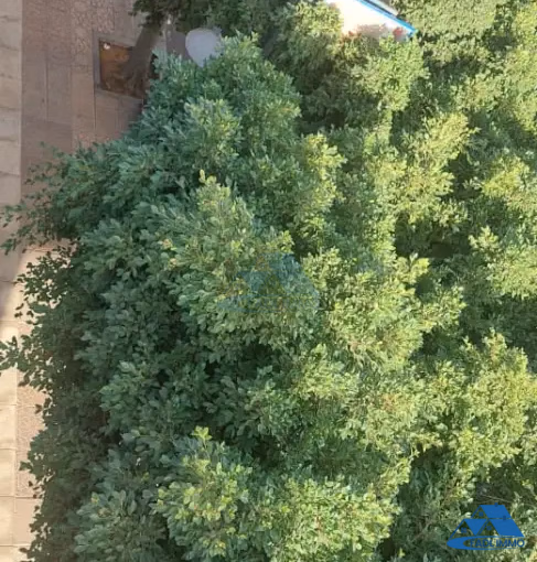 Bureau à louer avec parking au deuxième étage Bureau à louer avec parking au deuxième étage