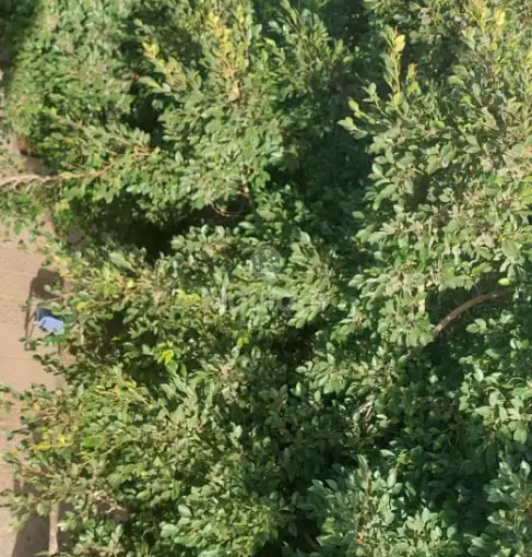 Office for rent with parking on the first floor