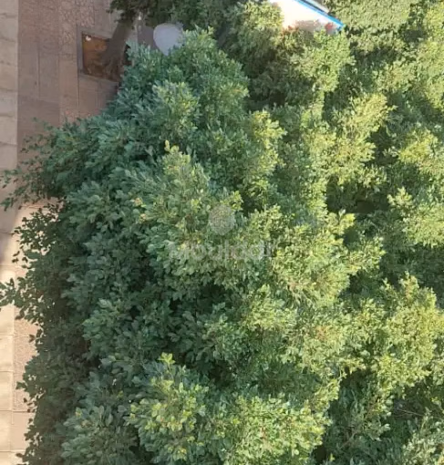 مكتب للإيجار مع موقف سيارات في الطابق الثاني مكتب للإيجار مع موقف سيارات في الطابق الثاني