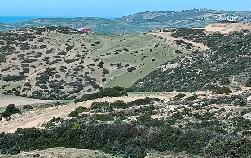 Terrain titré à vendre