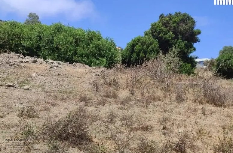 أرض محفظة للبيع لاستغلال زراعي