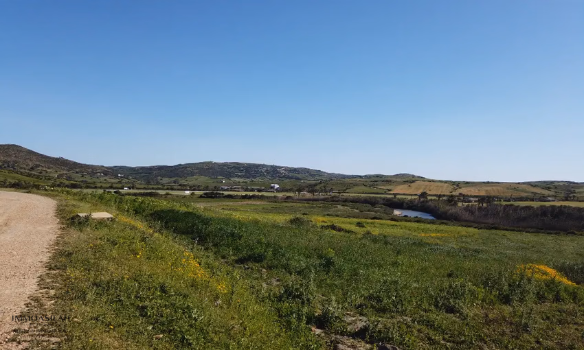 Terrain titré à vendre