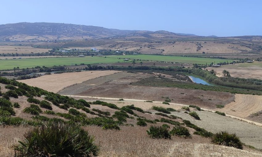 Terreno titulado en venta - view 3