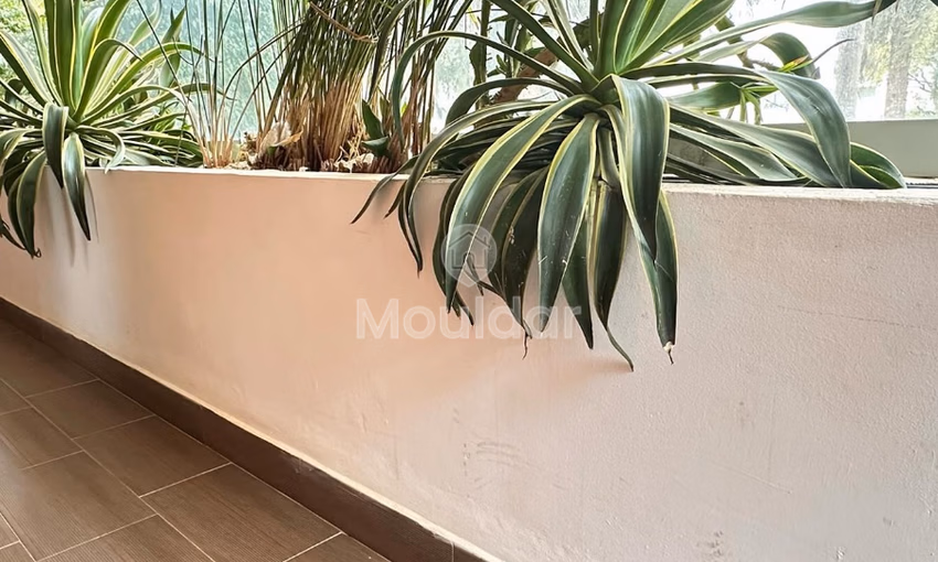 شقة للشراء مع تراس في الطابق الأرضي