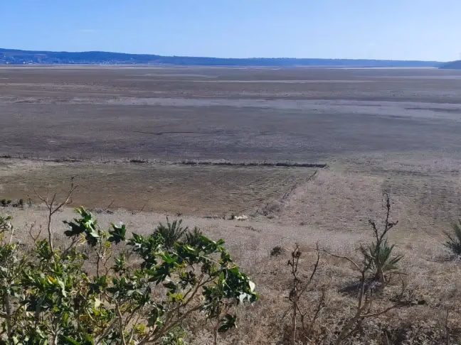 Titled land for buy for industrial activity