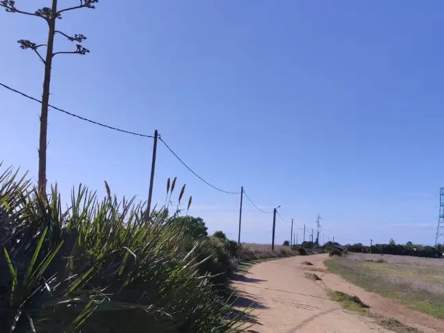 Titled land for buy for industrial activity - view 3