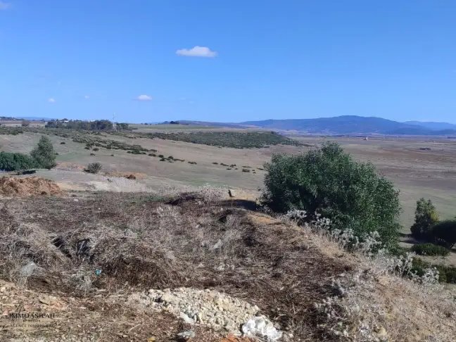 Titled land for buy for industrial activity - view 4