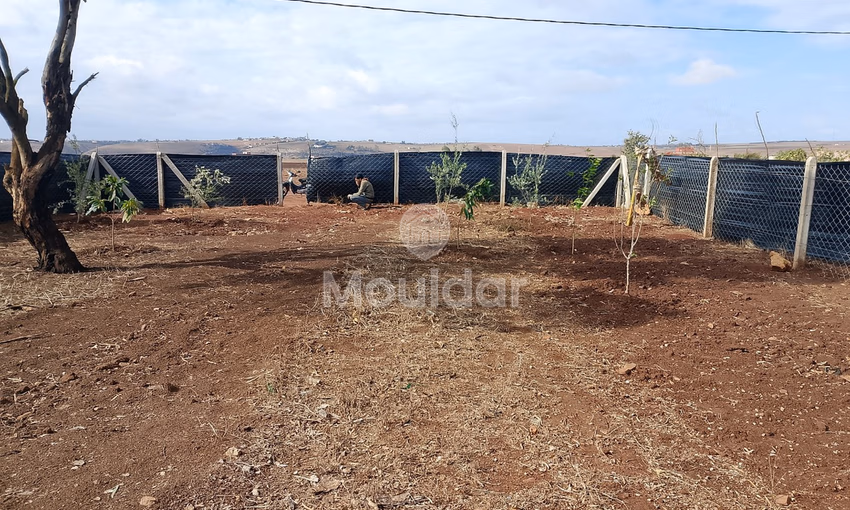 Terrain titré à achat Terrain titré à achat