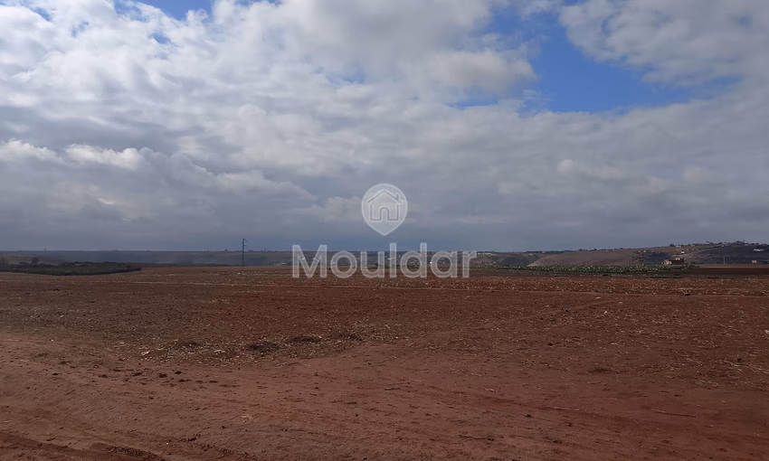 Terrain titré à achat Terrain titré à achat