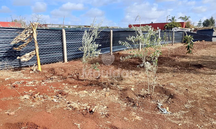 Terrain titré à achat