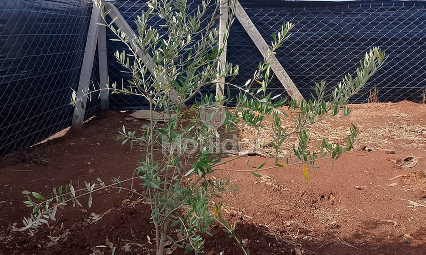 Terrain titré à achat Terrain titré à achat