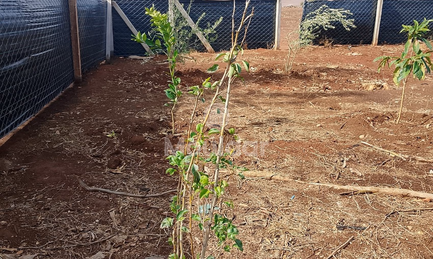 Terrain titré à achat Terrain titré à achat