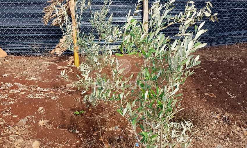 Terrain titré à achat Terrain titré à achat