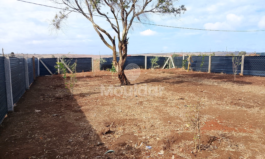 Terrain titré à achat Terrain titré à achat