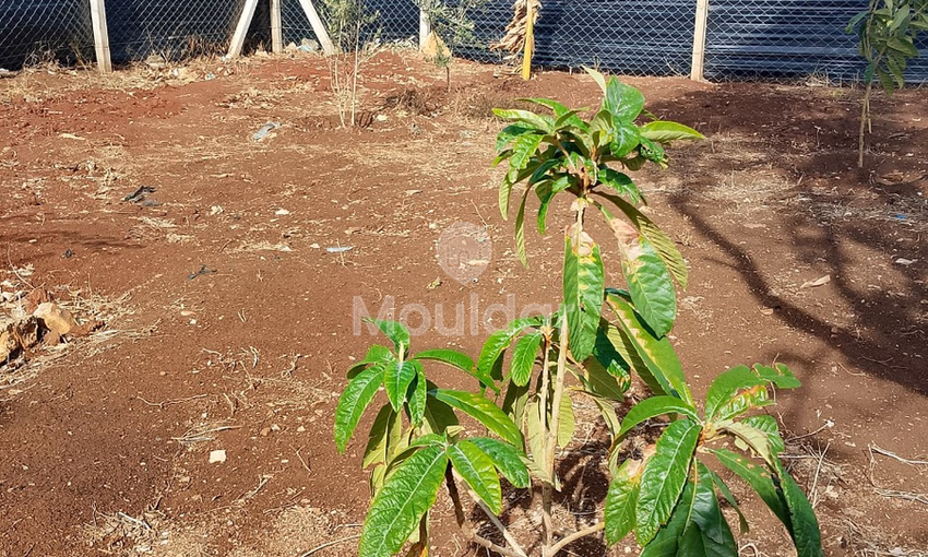 Terrain titré à achat Terrain titré à achat