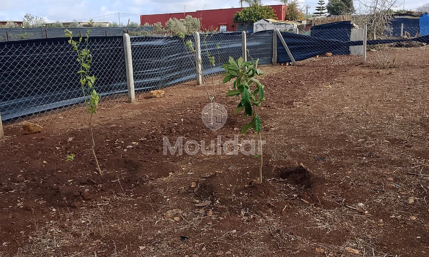 Terrain titré à achat Terrain titré à achat