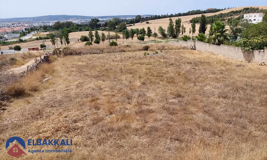 أرض محفظة للبيع لبناء فيلا