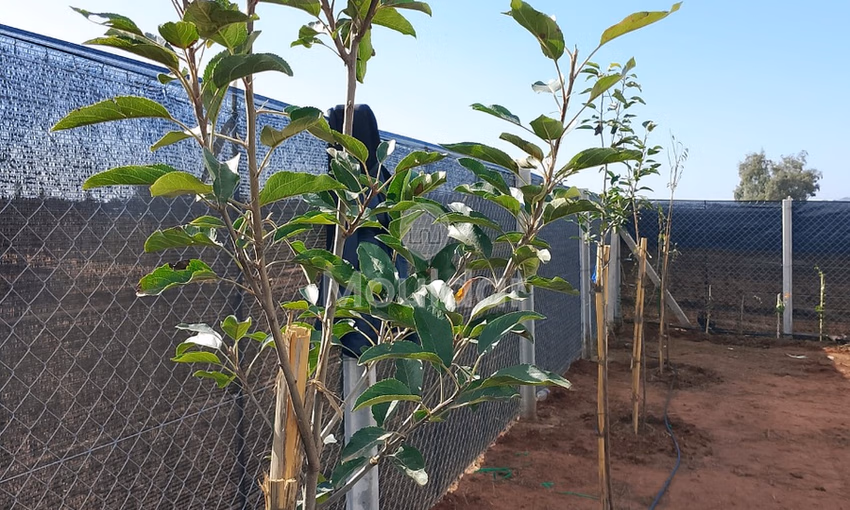 أرض للشراء أرض للشراء