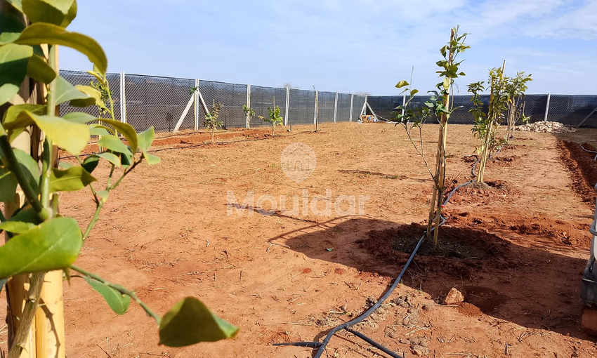 أرض للشراء أرض للشراء