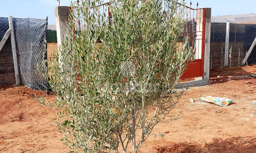 أرض للشراء أرض للشراء