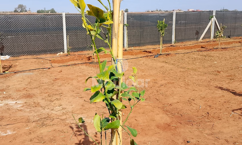 أرض للشراء أرض للشراء