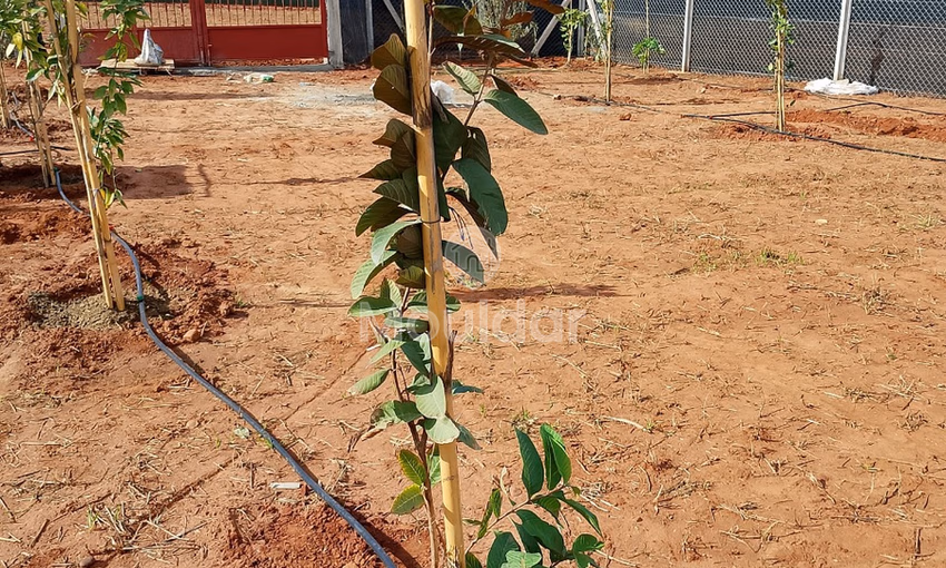 أرض للشراء أرض للشراء