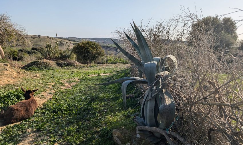 Titled land for buy for house construction - view 3