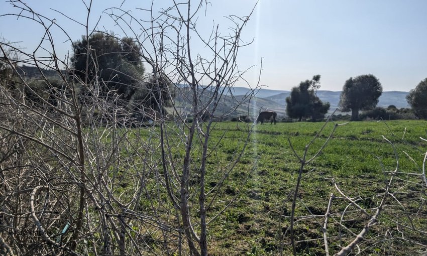 Titled land for buy for house construction - view 2