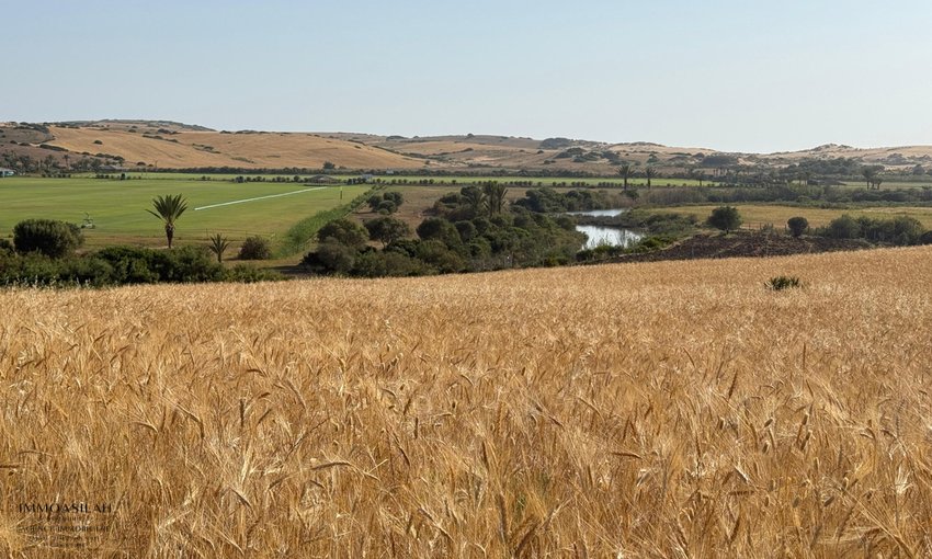 Terreno titulado a la venta - view 8