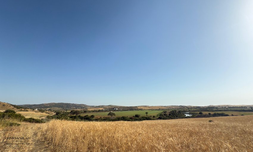 Terreno titulado a la venta - view 7